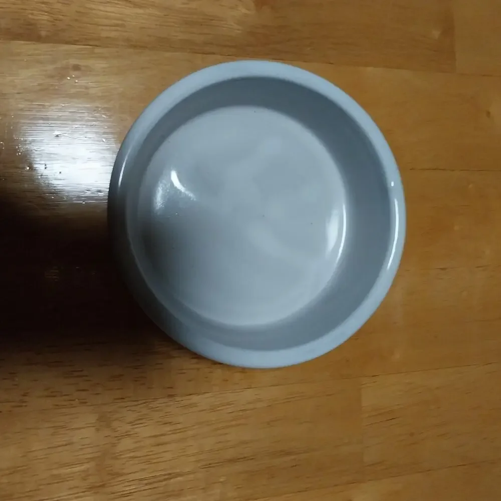 Whimsical Cat Dish